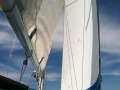 sails-doing-their-thing